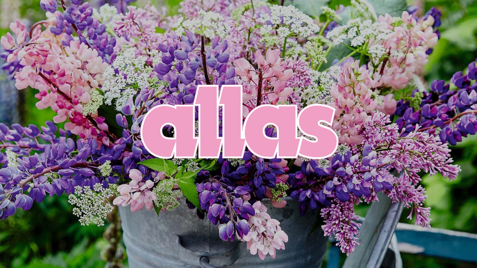 Allas_feat_2410071